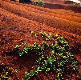 日媒最恐怖游戏问卷调查 《恐怖惊魂夜》只排第三